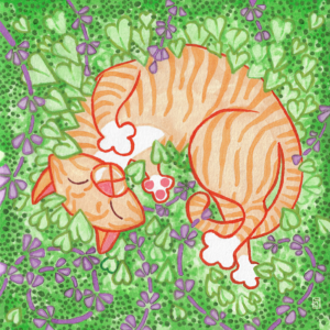 Cat in the Catnip